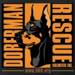 Doberman Rescue